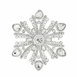Napier Box Elevated Crystal Snowflake Pin