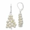 Napier Simulated Pearl White Christmas Tree Drop Earrings