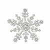 Napier Snowflake Pin