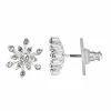 Napier Silver Tone Simulated Crystal Snowflake Stud Earrings