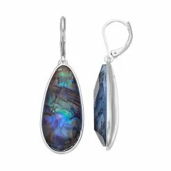 Napier Simulated Abalone Teardrop Earrings Blue -Napier Sales Store unnamed file 61