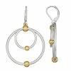 Napier Double Circle Drop Earrings